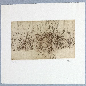 Print (USA)