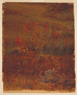 Drawing, Meadow in Autumn, Vermont