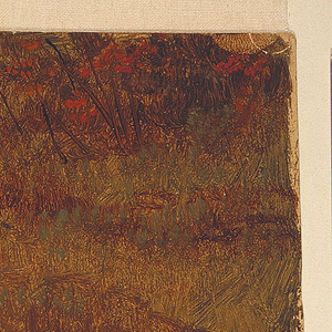 Drawing, Botanical Studies, October 1865