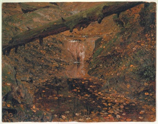 Drawing, Woodland Stream, Late Autumn