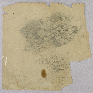 Drawing (USA)