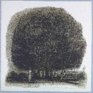 Print (USA)