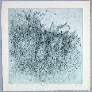 Print (USA)