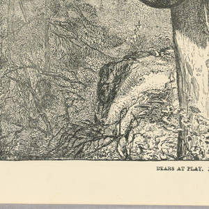 Print (USA)