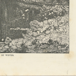 Print (USA)