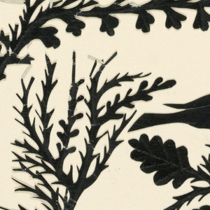 Silhouette, Six Birds