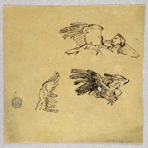 Drawing (USA)