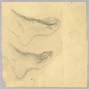Drawing (USA)