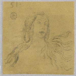 Drawing (USA)