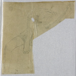 Drawing (USA)