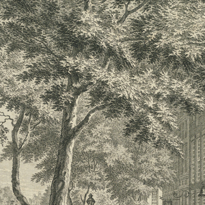 Print, Vue de l