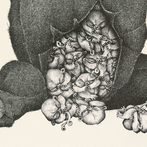 Print, Plate 22, XI, Très Admirable Bestiaire Fantastique (Very Admirable Fantastic Bestiary), 1972
