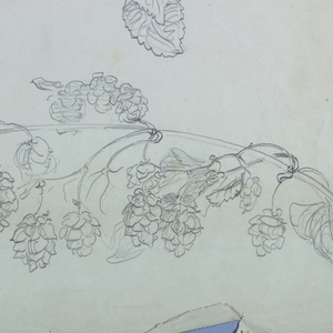 Drawing (USA)