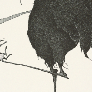 Print, Plate 24, XI, Très Admirable Bestiaire Fantastique (Very Admirable Fantastic Bestiary), 1972