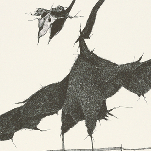 Print, Plate 20, II, Très Admirable Bestiaire Fantastique (Very Admirable Fantastic Bestiary), 1973