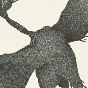 Print, Plate 5, VII, Très Admirable Bestiaire Fantastique (Very Admirable Fantastic Bestiary), 1972