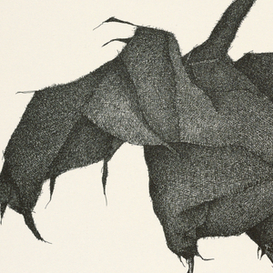 Print, Plate I, Très Admirable Bestiaire Fantastique (Very Admirable Fantastic Bestiary), 1973