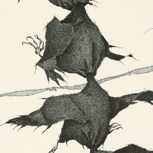 Print, Plate I, Très Admirable Bestiaire Fantastique (Very Admirable Fantastic Bestiary), 1973