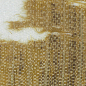 Textile (possibly Near East)