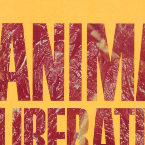 Book Jacket, Animal Liberation, 1990