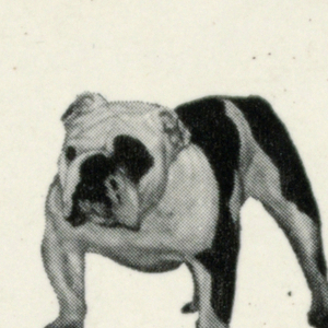 Sticker, Knoll International: Bulldog (TM) Chair Icon, 1990