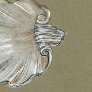 Drawing, White shell