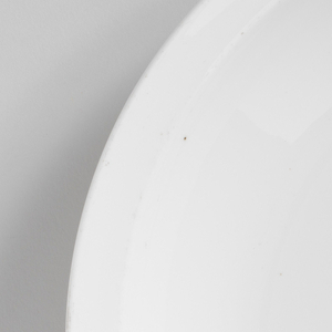 Dish