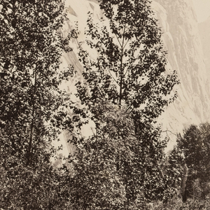 Photograph, Half Dome, 4967 feet, Yosemite, 1861–66