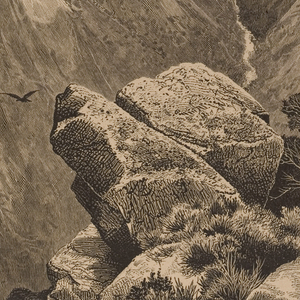 Print, Springville Cañon, January 1874