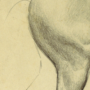 Drawing (USA)