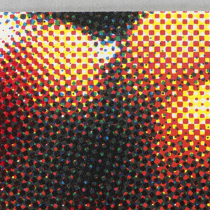 Corporate Identity (USA), 1993
