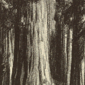 Print (USA)