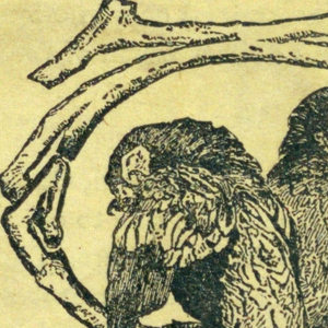 Ephemera (USA)