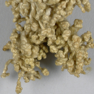 Tassel (Italy)