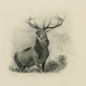 Stationery Card
