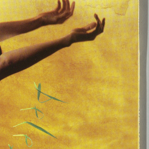 Album Cover, David Byrne, Beleza Tropical, 1989