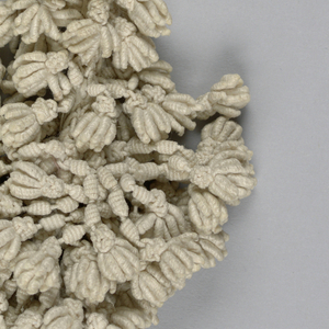 Tassel (Italy)