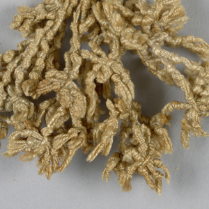 Tassel (Italy)