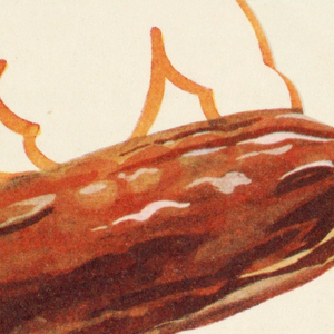 Business Card, Ich Bin Kein, Verspatetes Osterlamm