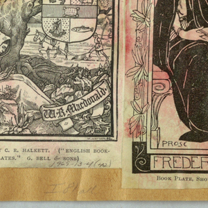 Reproduction (USA)