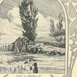 Reproduction (USA)