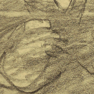 Drawing (USA)