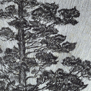 Print (USA)