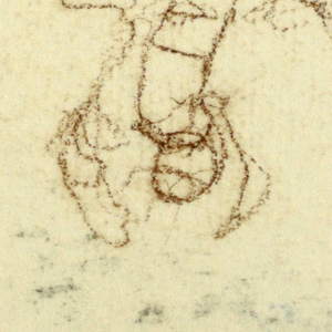 Drawing (USA)