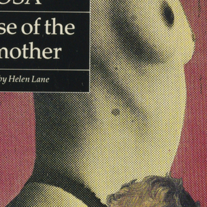 Book Cover, In Praise of the Stepmother