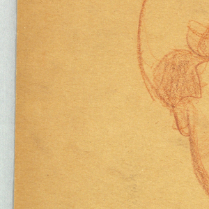 Drawing (USA)