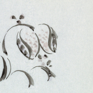Drawing, Foliate Design