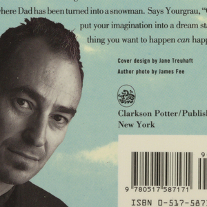 Book Cover, A Man Jumps out of an Airplane