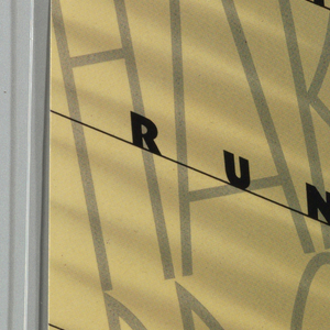 Book Cover, The Runaway Soul