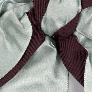 Ribbon (USA)